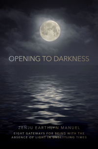 Opening To Darkness by Zenju Earthlyn Manuel