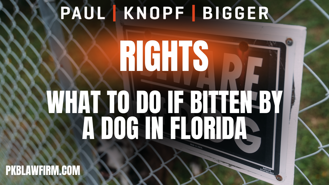 Dog bites can be traumatic, both physically and emotionally. In Florida, a state renowned for its warm weather and pet-friendly environment, dog bites are more common than expected. Understanding your rights and the proper steps after a dog bite is crucial for ensuring you receive the compensation you deserve. The attorneys at Paul | Knopf | Bigger will guide you through the essential actions to take after suffering a dog bite injury in Florida and highlight the importance of consulting a Florida dog bite attorney.